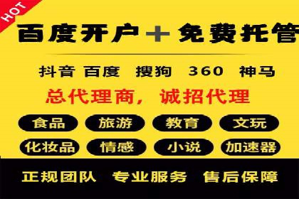 谷歌竞价广告的出价策略及某公司实践案例